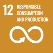 SDG 12: Responsible Consumption and Production